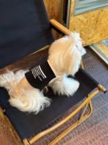 ENENNNN spring and summer pet clothing dog and cat internet celebrity letter printed short camisole