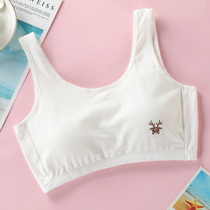 Lingerie girl 9-12-14-15 -16 years old junior high school girl high school girl hair stunting with little vest bra