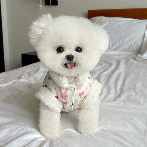 Демисезонный флисовый кролик, жилет, куртка, домашний питомец, осенний сезон, кот