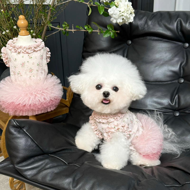 Five Little White Bears Original Pet Clothes Elastic Lace Floral Puff Skirt Thin Ballet Skirt for Dogs and Cats