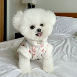 Демисезонный флисовый кролик, жилет, куртка, домашний питомец, осенний сезон, кот