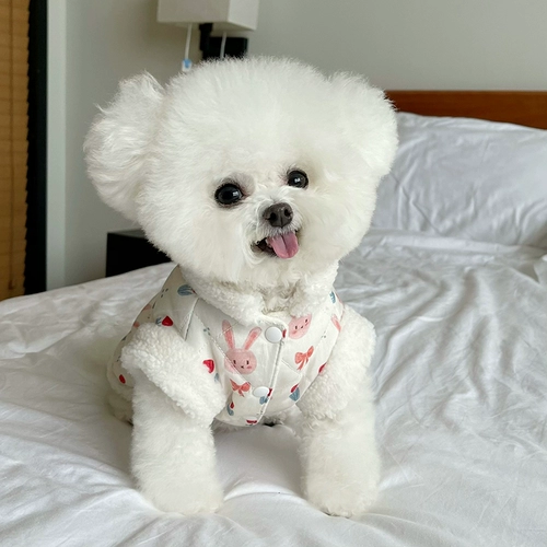 Демисезонный флисовый кролик, жилет, куртка, домашний питомец, осенний сезон, кот