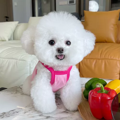 Летний тонкий топ с чашечками, пижама, с медвежатами, в цветочек