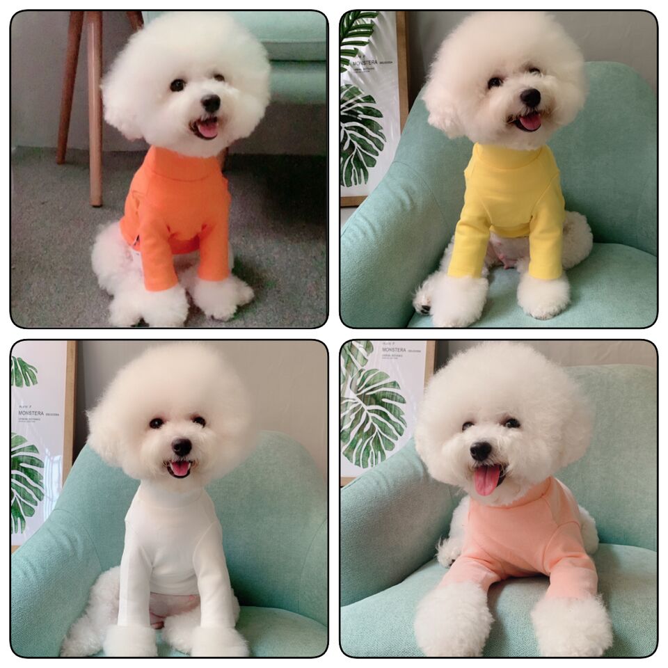 Pet clothes autumn and winter new cotton multi-color basic bottoming Teddy Bichon dog bottoming shirt clothes