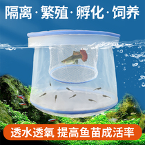 Guppy hatching net box small fry isolation dense net female fish spawning room fish tank floating breeding net box