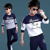 Children's clothing boy suit spring and autumn boy sports long sleeve vests two spring and autumn clothes children Korean spring and autumn tide clothes