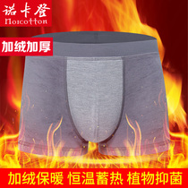  Warm underwear Mens boxer shorts thickened four-sided shorts mens plus velvet tight cotton pants pants autumn and winter single pack