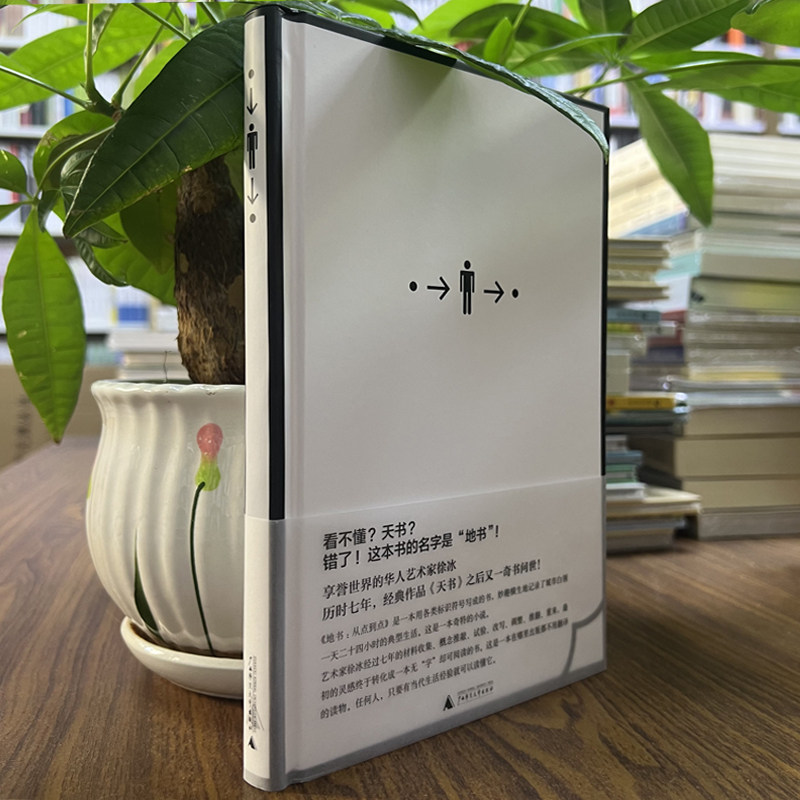 徐冰“地书”:从点到点的视觉奇观与文化反思-中国近代随笔-淘宝好物网