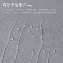 Inorganic Silicon Varnish Wall Cover Light Lacquered Exterior Wall Art Paint Cover Face