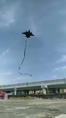 Qingyun bird FJ adult fighter anti-a giant kite Weifang J-15 black aircraft 1 6 m 2 m 2 8 meters children