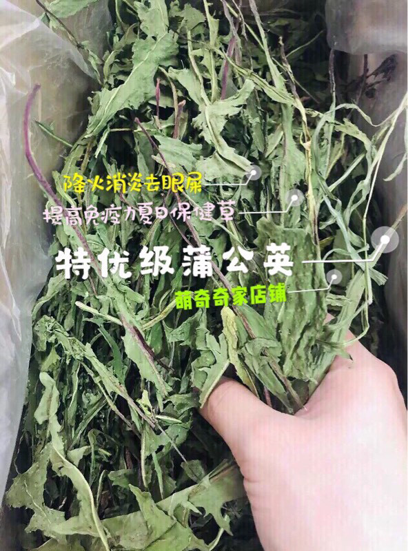 Cute Chic Family Special Grade Dandelion Grass Rabbit Dragon Cat Dutch Pig Dried Grass Snacks Pasta 500g