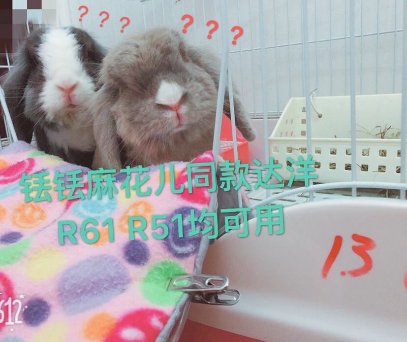 Cute Chic Family Rabbit Pooch Thicken Urine Mat Deodorant Pee Not Wet Water Absorbent Cool Mat 50 Pet Supplies