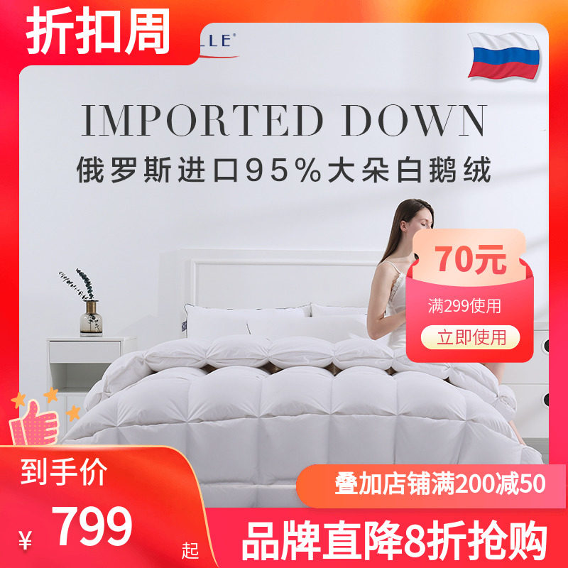 Amsleeping Bao 95% Large white goose down by double thickened duvet quilted by hotel cotton quilted quilt by the core quilt Chunqiu