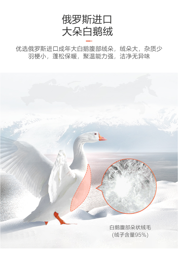 安睡宝  杜邦抗菌鹅绒被 俄罗斯进口95白鹅绒 图3