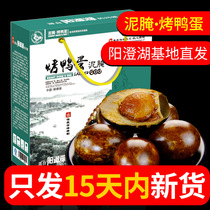 30 extra large roast duck eggs salted duck eggs in Yangcheng Lake Town