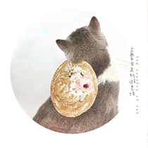 Pet straw hat hand-woven cute net red cat photo props bamboo dragonfly dog