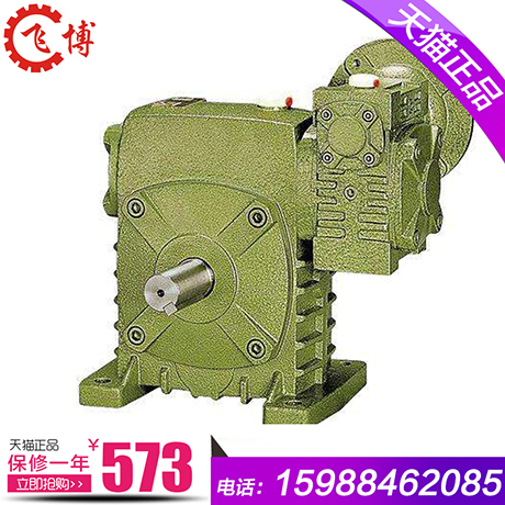 Feibo reducer WPEA WPES vertical bipolar worm gear box iron shell with motor gearbox