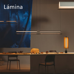 Spanish Minimalist Designer Antoni Arola's Linear Strip Light for Tea Room, Bar, Office, and Restaurant Pendant Light