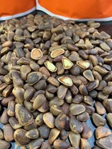 Changbai Mountain specialty Northeast specialty pine nuts green natural pine nuts physical opening 100g