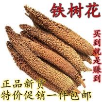Iron Tree Flower 500g Dried Iron Tree Male Flowers and Iron Tree Fruit