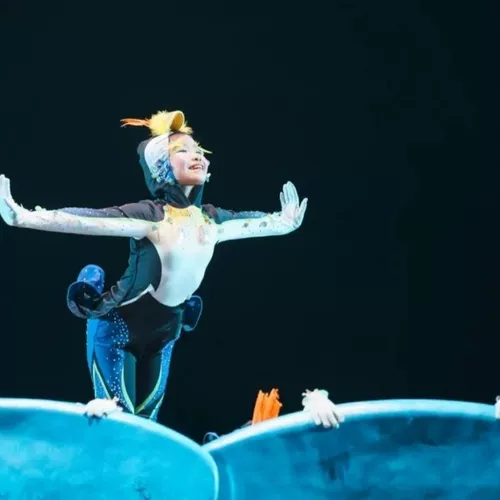 Одиннадцатый маленький лотос в стиле лотоса серфинга пингвин