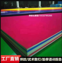 Nouveau tapis de lutte composite thermique à cinq couches éponge XPE à haute élasticité tapis de judo arts martiaux tapis dentraînement de compétition Sanda