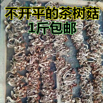 New tea tree mushroom dry goods 2021 do not open umbrella farm self-produced Fujian Jianning specialty fragrance 500 grams