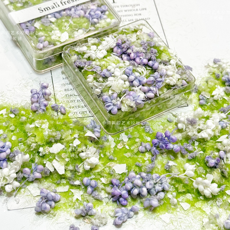 Spring Breeze Glitter Grass Powder Artificial Landscaping Grass Dried Flowers Journal Model Mixed Landscaping Grass DIY Handmade Spring Breeze Glitter Grass Powder Artificial Landscaping Grass Dried Flowers Journal Model Mixed Landscaping Grass DIY Handmade