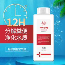 Pastoral resident (GDH) nitrobacteria bacterial fish tank used with water purifying aqua Digestive Aqua for the stable purification of the water quality of the bacterial fish fish