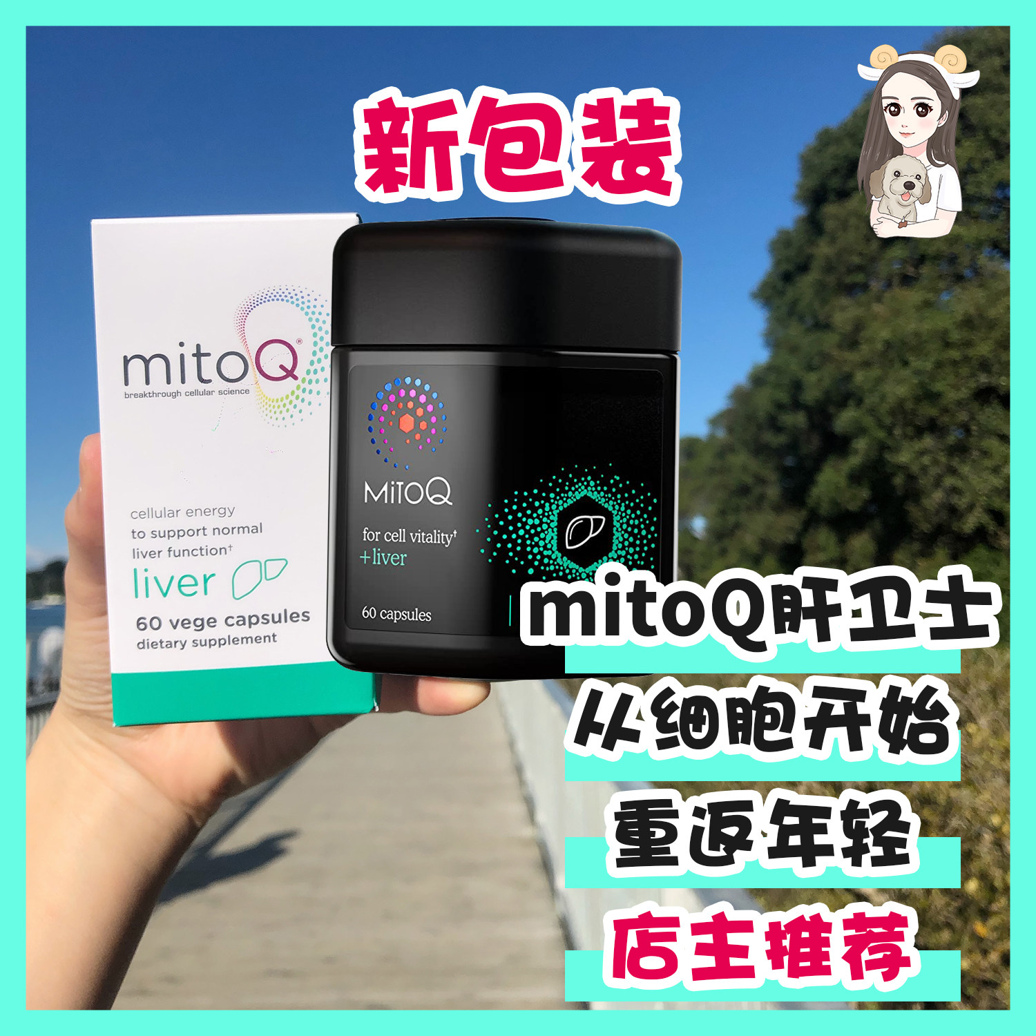 Newly packaged New Zealand MitoQ Milk Thistle Liver Protection Liver Protection Anti-Aging Coenzyme Capsules Liver Treasure Care Australia