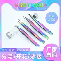 Eyelash grafting tweezers Colorful high-density flowering golden feather Dolphin camellia flowering professional color clip set beautiful eyelashes