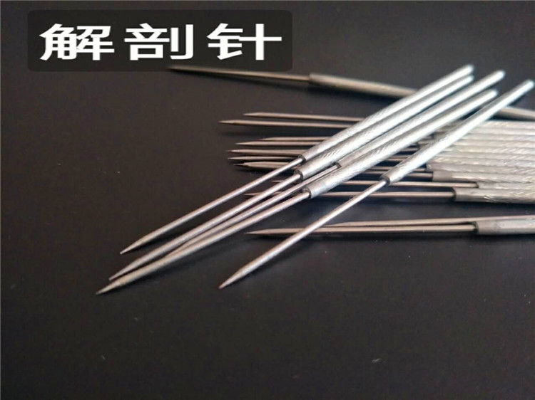 Dissection needle Stainless steel insect dissection needle Middle school biology experiment box Probe dissection tool Teaching instrument