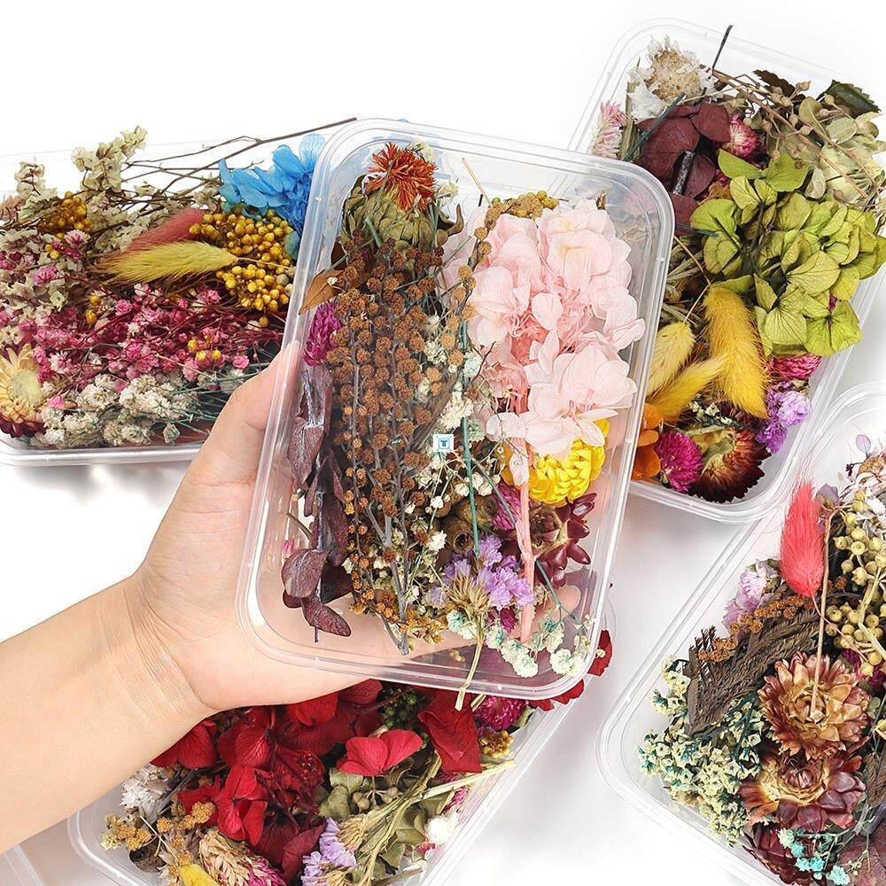 1Box ​​Random Mix Dry Flowers Decoration Natural Floral