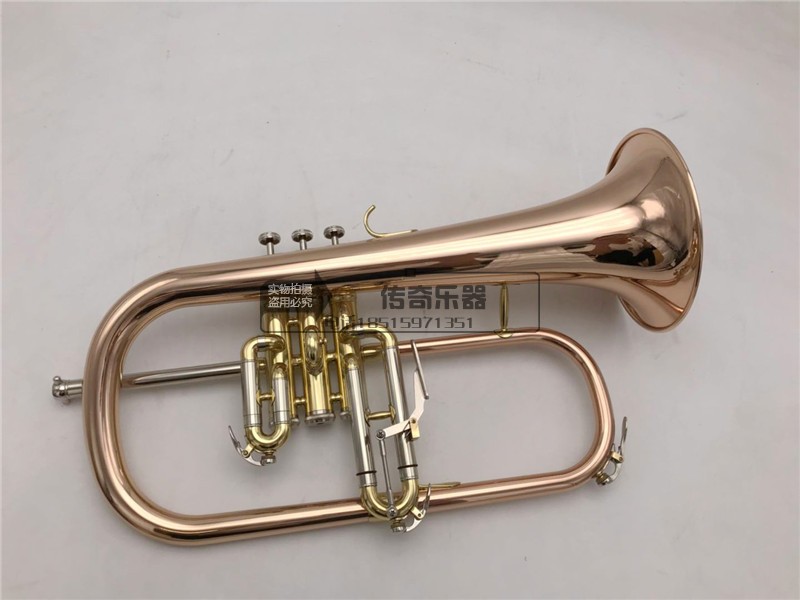 Carolyn Phosphorus Bronze Furouge instrument Fueruge descending B Lacquer Gold Baha Playing Brass