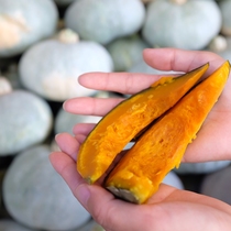 (No. 1 Glacier) Selected Xinjiang Noble Chestnut Pumpkin Baby Supplementary Food Non-Beibei Fresh Sunked Vegetables