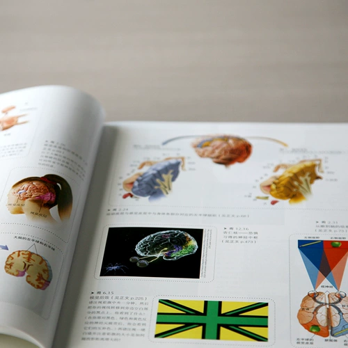 Психология (9 -е издание) Книга психологии Дави Миллс Психологический исследователь