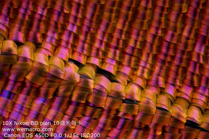 TB2gRVUjpXXXXXcXXXXXXXXXXXX !!24386836