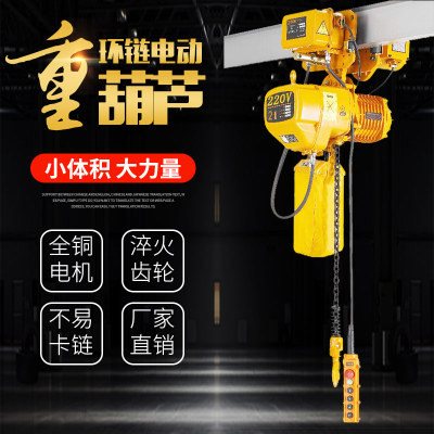 1 ton electric crane hanger 2 ton chain hanger 3 ton ring chain hyacinth 5 ton electric crane 10 ton 20 ton hanger 220V