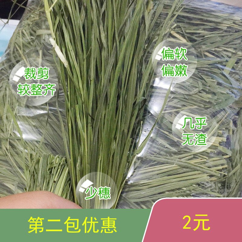 22 years Mipao Concon 5A Class young adult rabbit drying ti Moshe grass dry pasta pet rabbit dragon cat Dutch pig