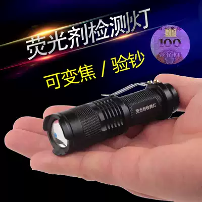 365nm fluorescent agent detection lamp pen purple light white light special banknote detection Ultraviolet small mini rechargeable flashlight