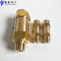 Low temperature SDA22C-300T freezer brass safety pressure relief valve 1 2 inch condenser 1 4 evaporator DN50