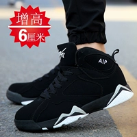 Увеличение моделей (черно -белый серый)