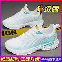 Обновленная версия белого синего