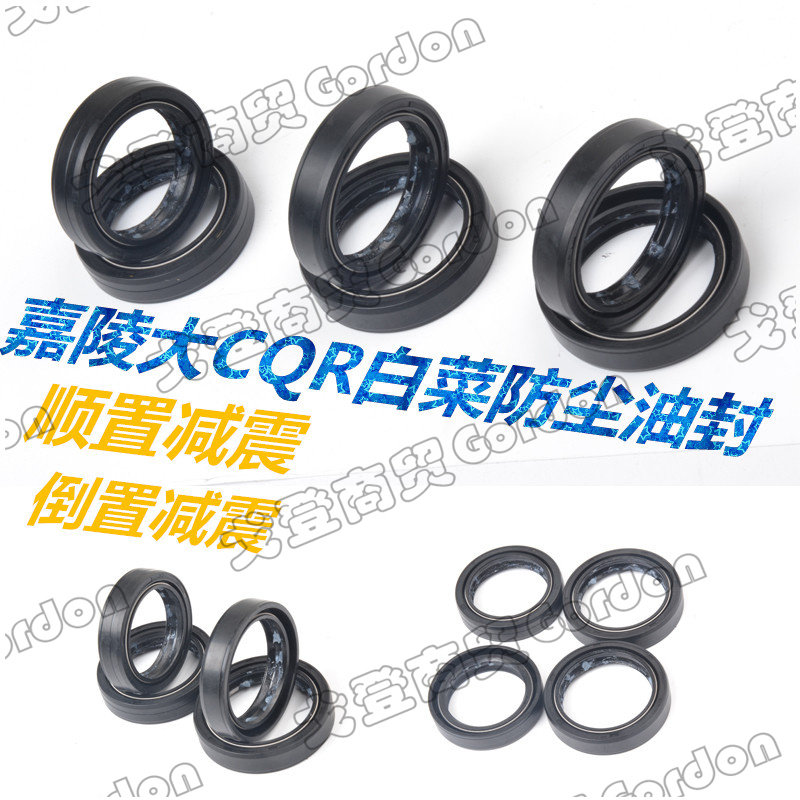 Galing cabbage CQR150-250 general front shock oil seal front fork dust oil seal assembly retrofit accessories