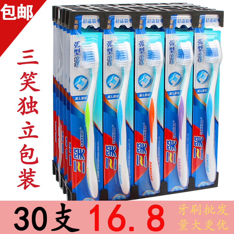 Smiling toothbrush hair adults with 30 housebrushes clean gums independently