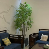 Моделирование большое мудрый дерево Гинкго Сакура кампания на заказ брак празднование отель Linous Corbing Книга Желтая Гинкго