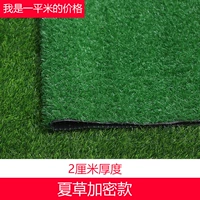 2 см. Зашифрованная летняя трава горячая распродажа