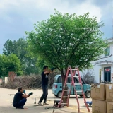 Имитация баньяна, большое искусственное дерево для загадывания желаний, ландшафтный дизайн в помещении и на открытом воздухе в деревенском отеле, украшение бионическими зелеными растениями, реквизит для свадебных витрин.