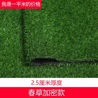 2,5 см в пружинной траве