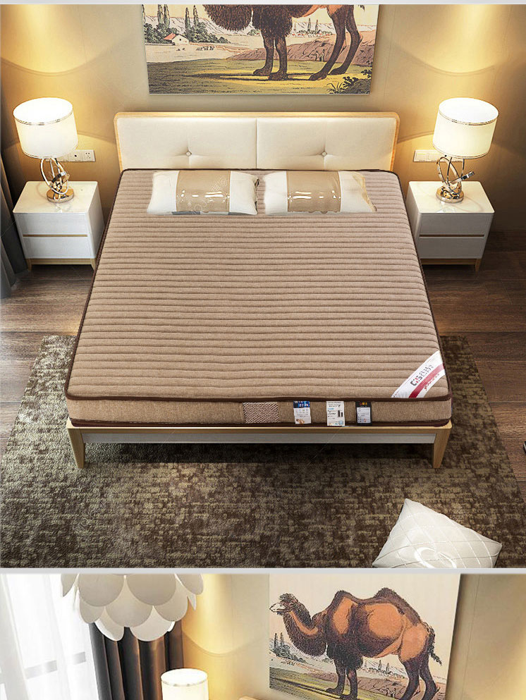 1.8m1.5 mét nâu nệm dừa cọ nệm pad tự nhiên gấp Guards cứng nhắc latex tatami sinh viên tùy chỉnh - Nệm nệm kymdan trả góp